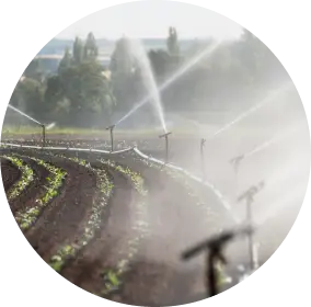 Irrigation