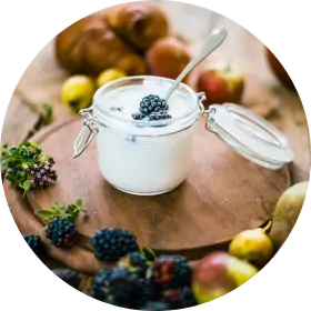 Yoghurt
