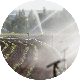 Irrigation